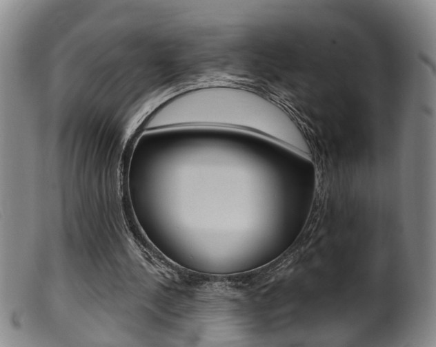 X0000099950244200805231009