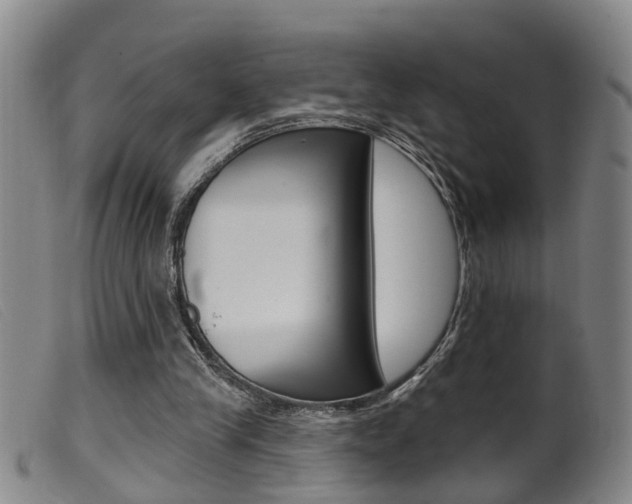 X0000099950245200805231009