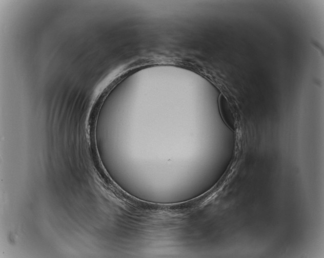 X0000099950246200805231009