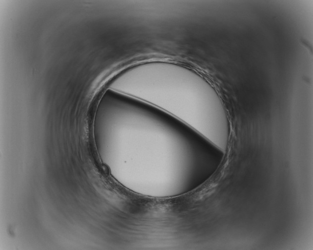 X0000099950247200805231009