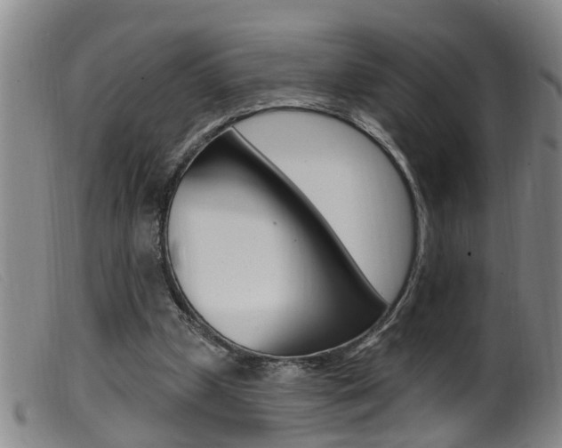 X0000099950249200805231009