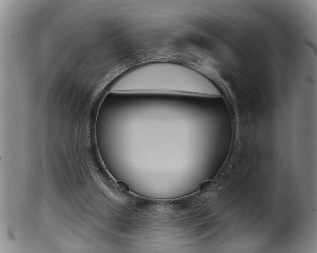X0000099950250200805231009