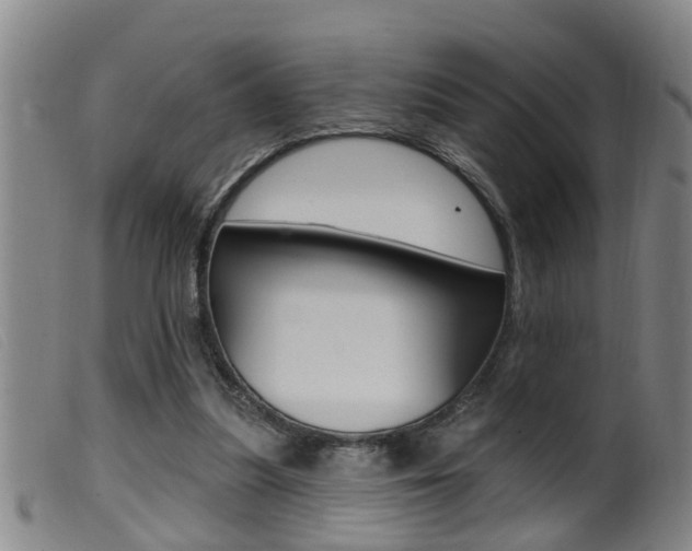 X0000099950251200805231009