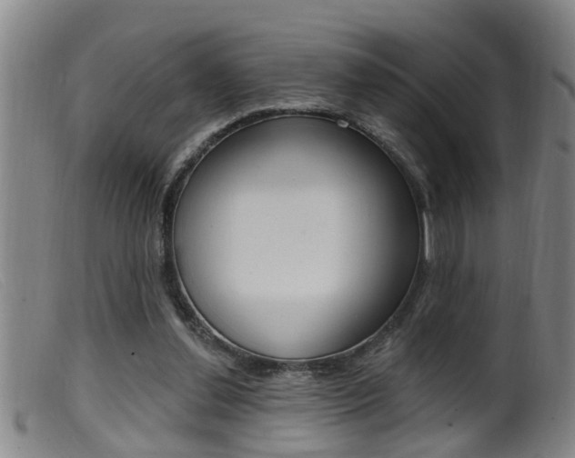 X0000099950252200805231009