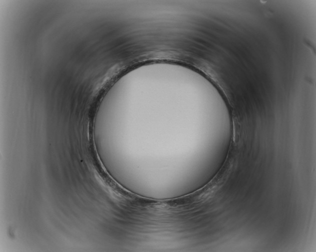 X0000099950253200805231009