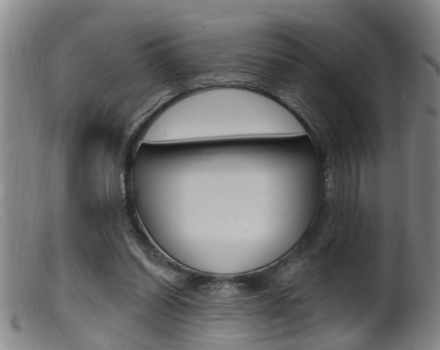 X0000099950254200805231009