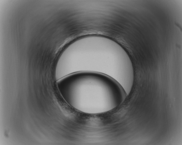 X0000099950256200805231009