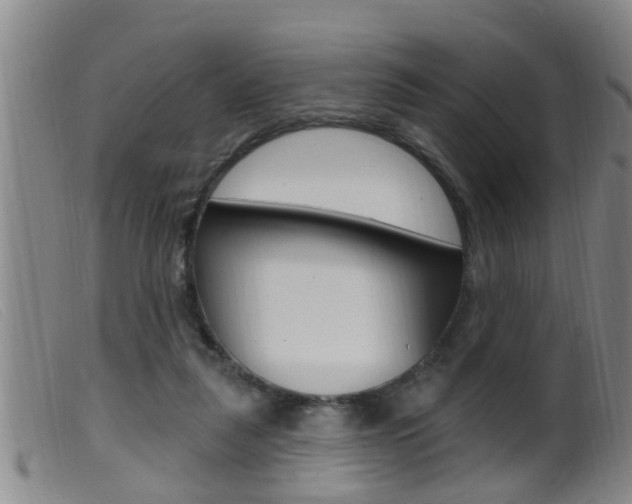 X0000099950259200805231009