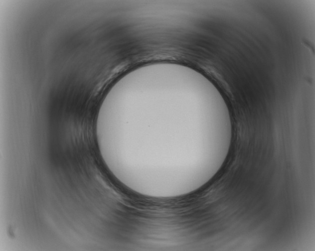 X0000099950260200805231009