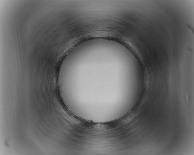 X0000099950261200805231009