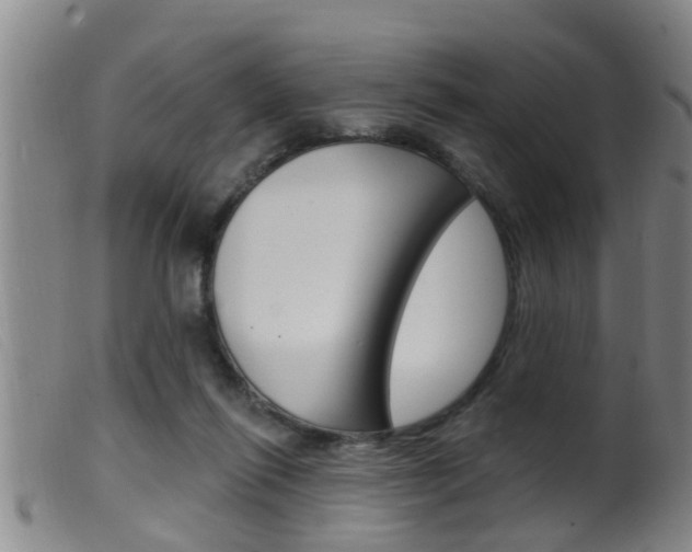 X0000099950262200805231009
