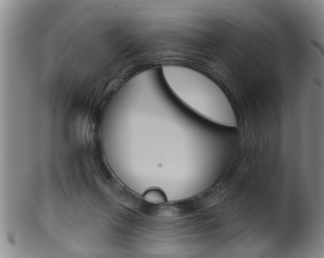 X0000099950263200805231009