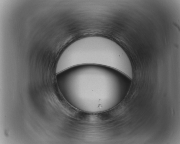 X0000099950264200805231009