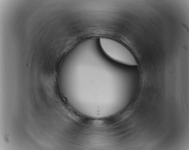 X0000099950265200805231009