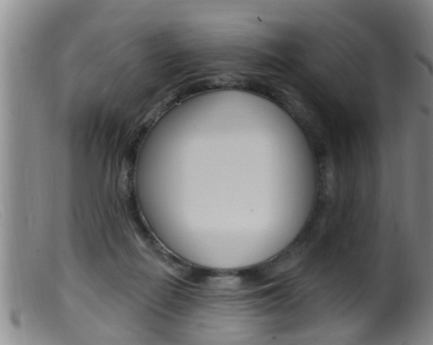 X0000099950266200805231009