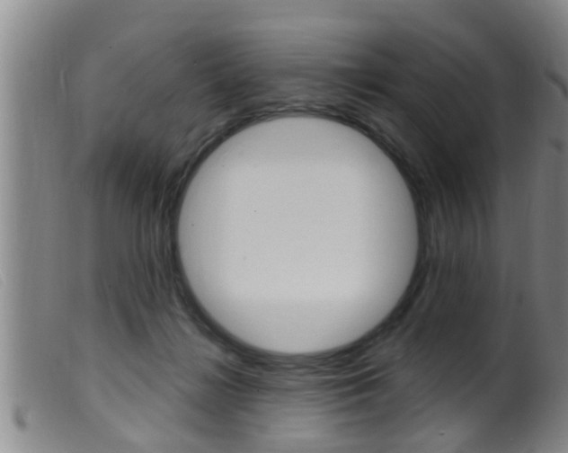 X0000099950268200805231009