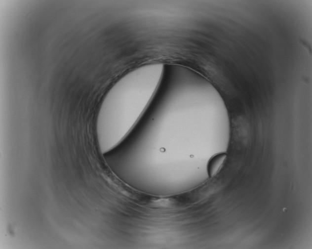 X0000099950269200805231009
