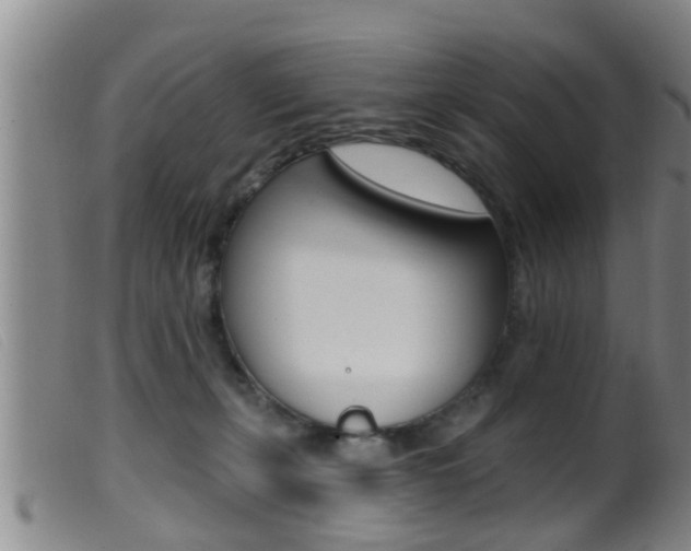 X0000099950271200805231009