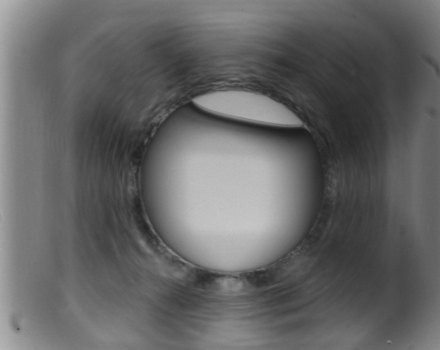X0000099950272200805231009