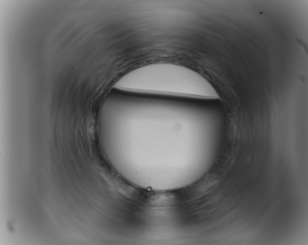 X0000099950274200805231009