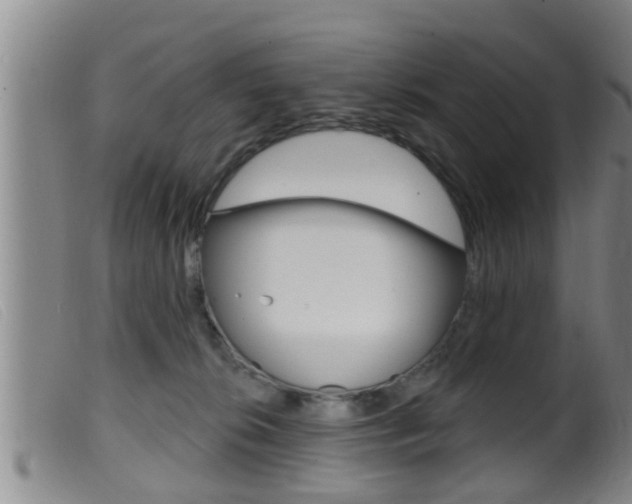X0000099950276200805231009