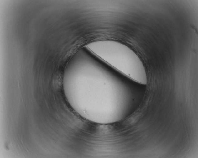 X0000099950277200805231009