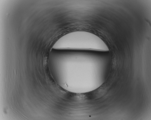 X0000099950278200805231009