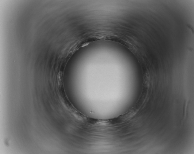 X0000099950280200805231009