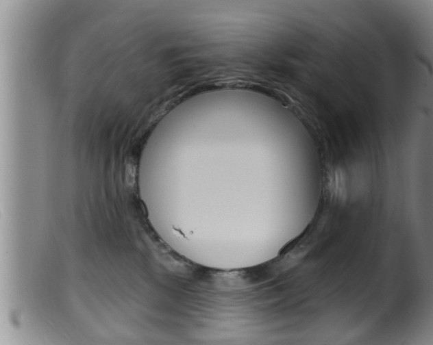 X0000099950281200805231009