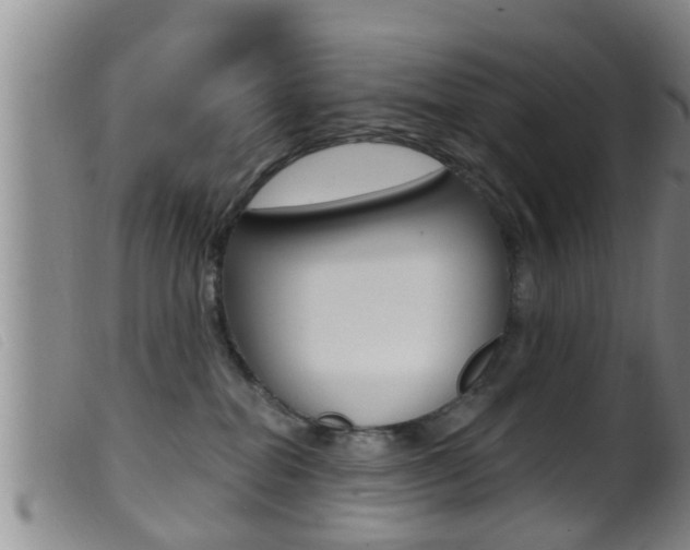 X0000099950282200805231009