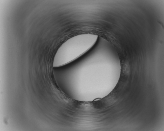 X0000099950283200805231009