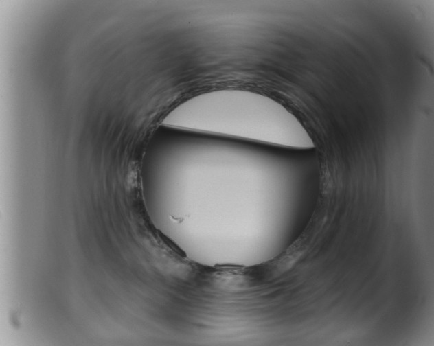 X0000099950284200805231009