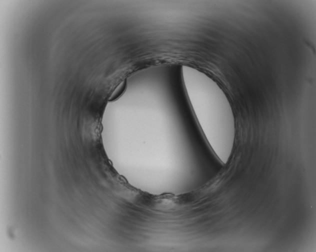 X0000099950285200805231009