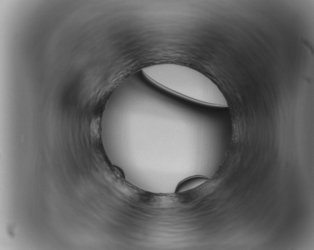 X0000099950286200805231009