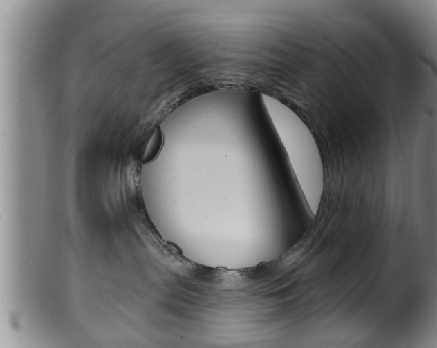 X0000099950287200805231009