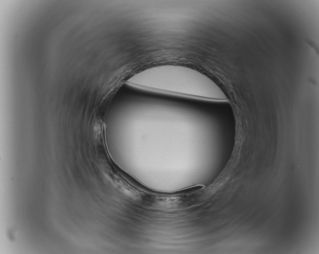 X0000099950288200805231009