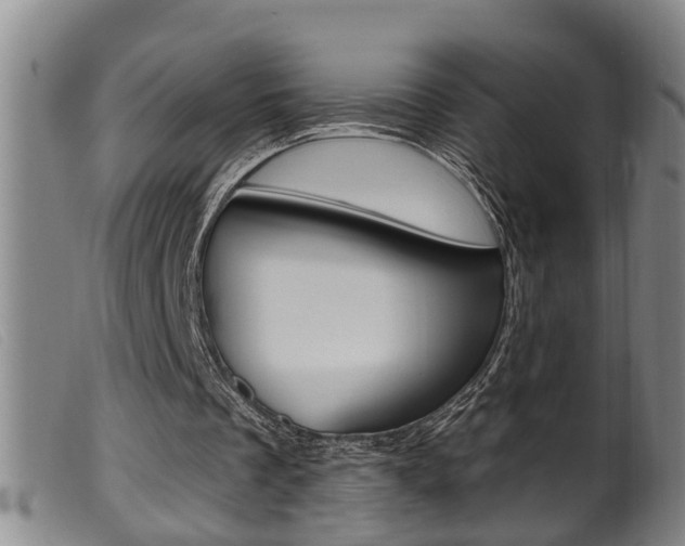 X0000099950289200805231009