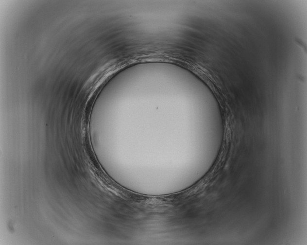 X0000099950290200805231009