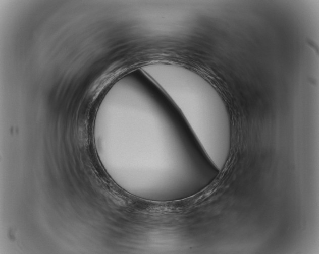 X0000099950291200805231009