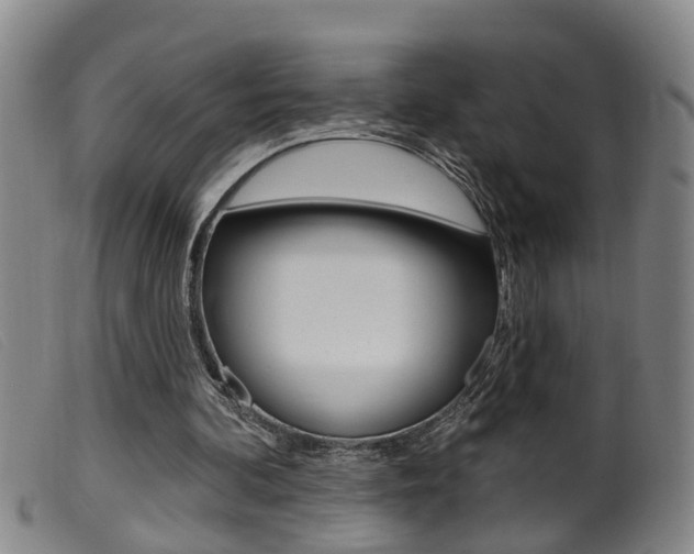 X0000099950292200805231009