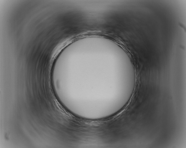 X0000099950293200805231009