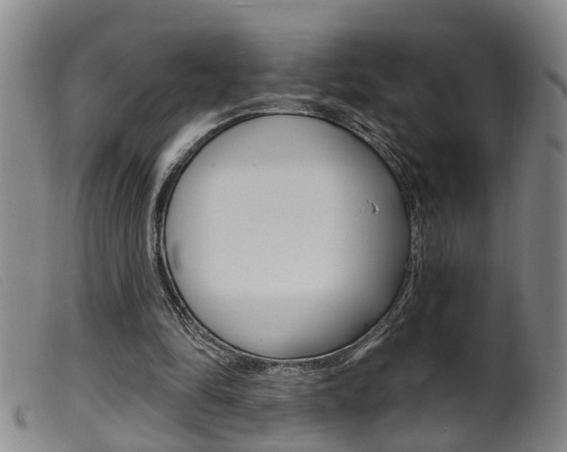 X0000099950294200805231009