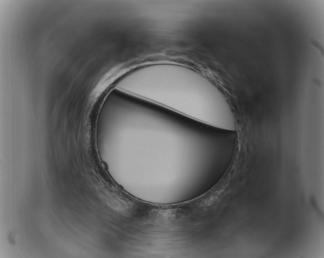 X0000099950295200805231008