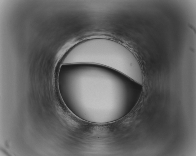 X0000099950296200805231008