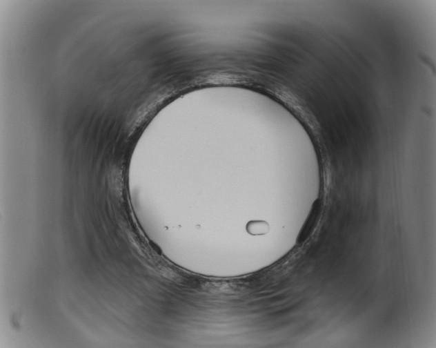 X0000099950297200805231008