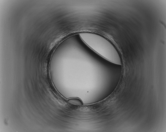 X0000099950299200805231008
