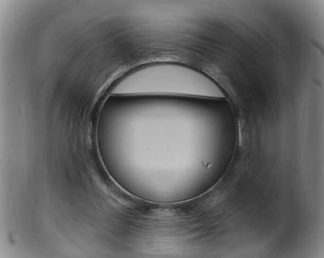 X0000099950300200805231008