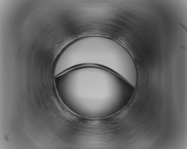 X0000099950301200805231008