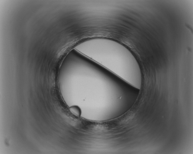 X0000099950303200805231008