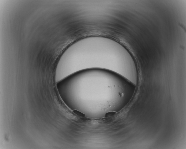 X0000099950305200805231008